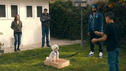 The new Netflix original series, 'Canine Intervention,' focuses on training dogs.