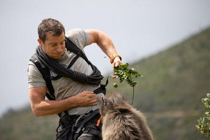 Bear Grylls starts in a new Netflix original film streaming on Feb. 16.