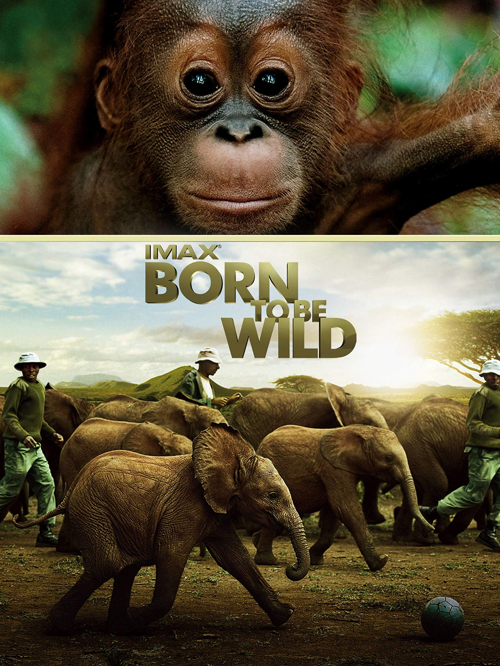 Watch IMAX Born to Be Wild | Prime Video