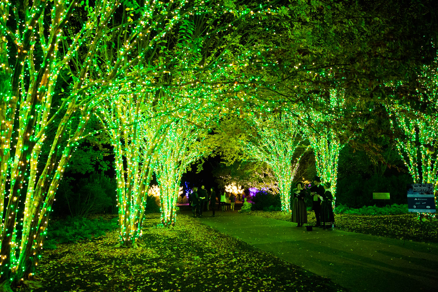 Holiday LIGHTS at Cheekwood | Nashville Guru