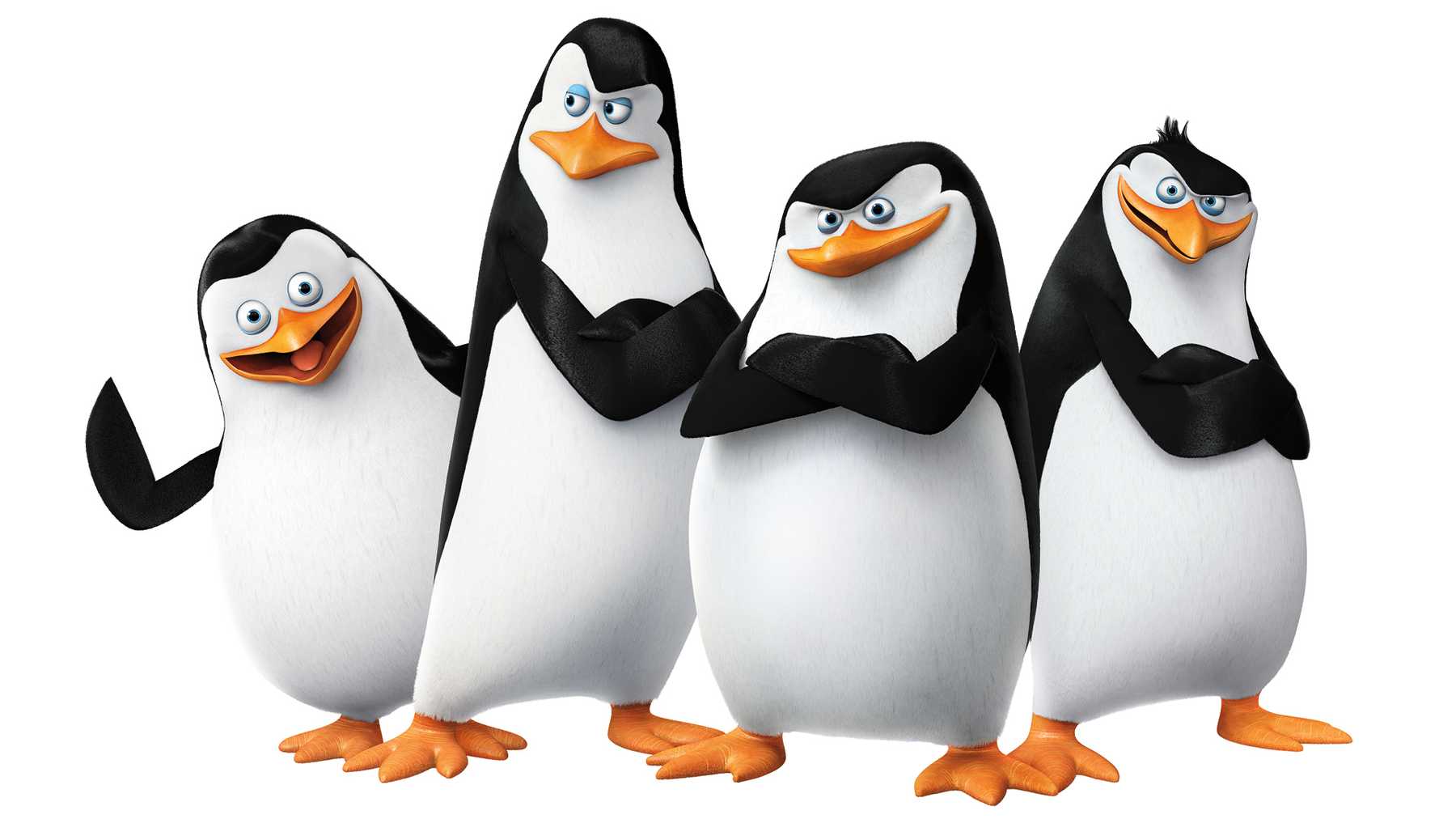 Penguins Of Madagascar Review | Movie - Empire