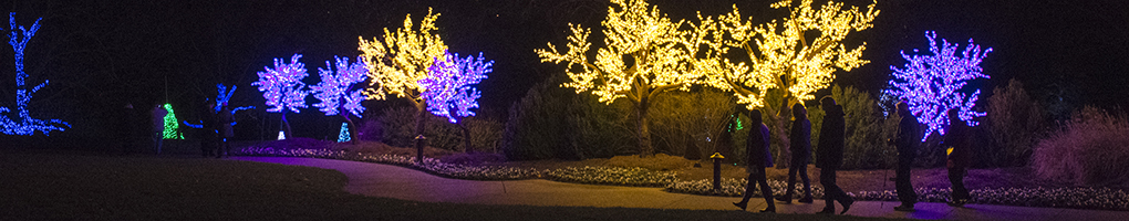 Cheekwood Holiday Lights | Seasonal Display