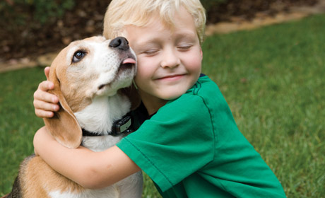 Dog Park Grants Awarded!