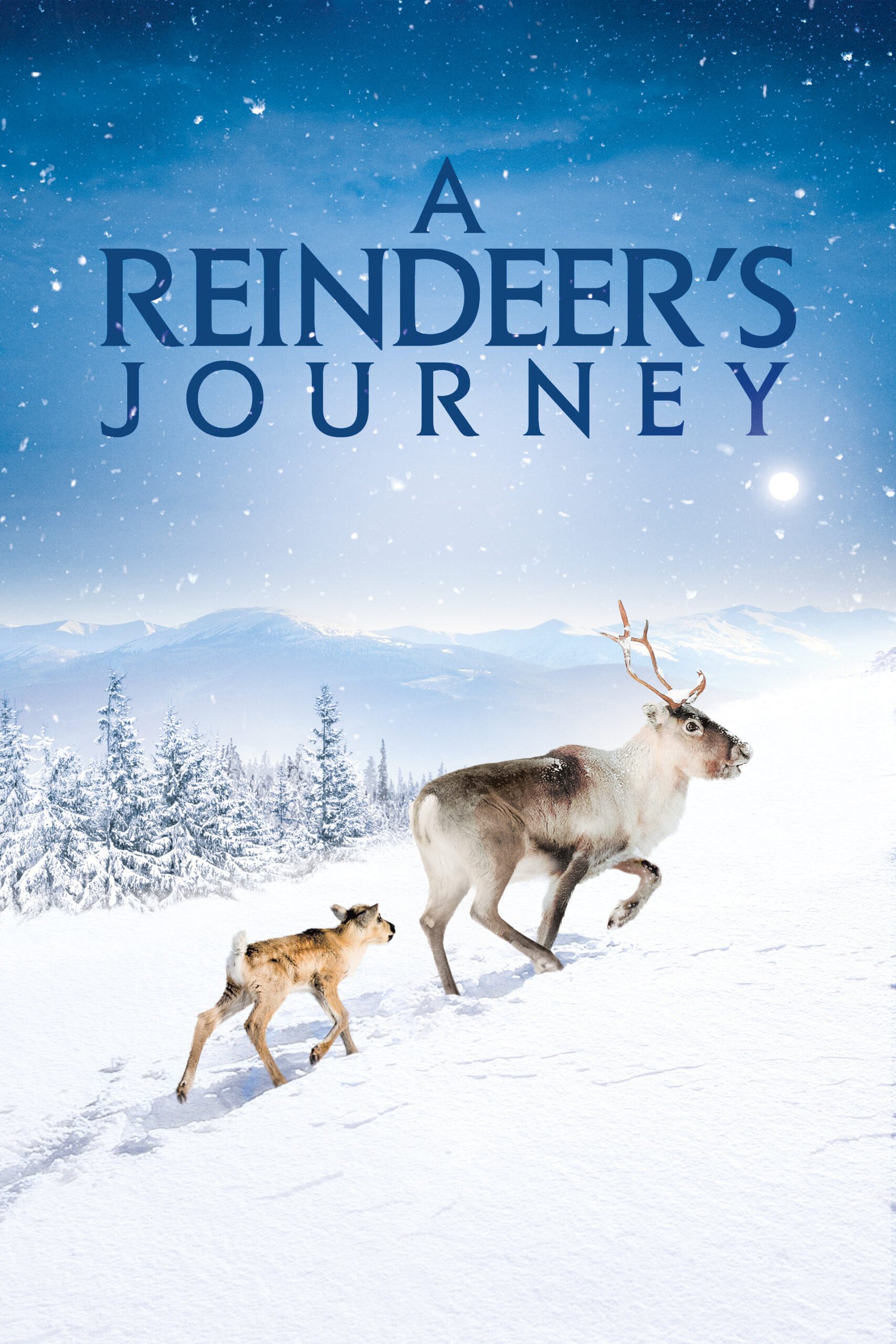 A Reindeer's Journey (2018) - IMDb