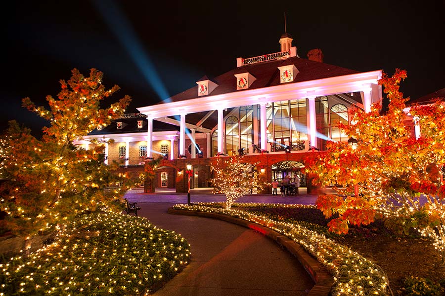 A Country Christmas | MaryAnnDeSantis.com