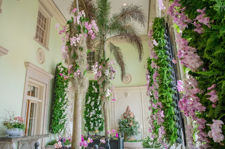 Orchids in the Mansion at Cheekwood - Nashville - Flower Magazine