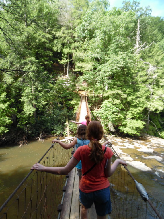 Top 5 Fall Family Hikes Near Nashville
