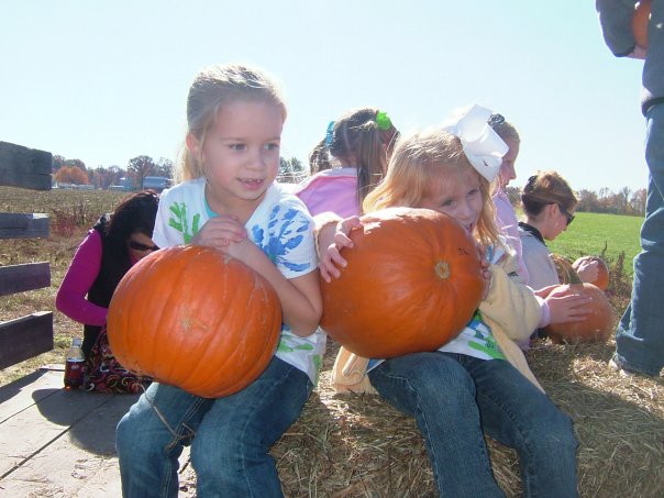 Fall Festival