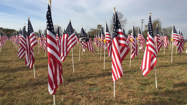 1,000 American flags on display at the Hermitage
