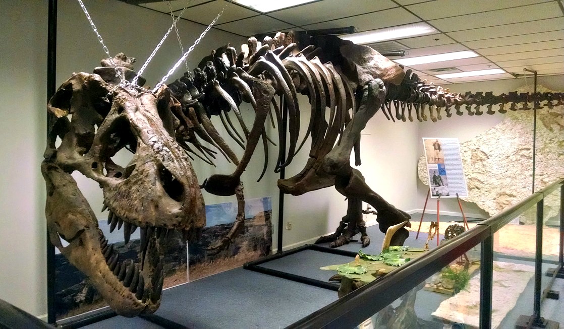 Dinosaurs?! Earth Experience Reopens in Murfreesboro - Nashville Parent