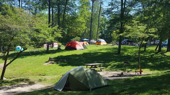 Loop C Camp Sites - Picture of Fall Creek Falls Campsites, Fall Creek Falls State Park - Tripadvisor