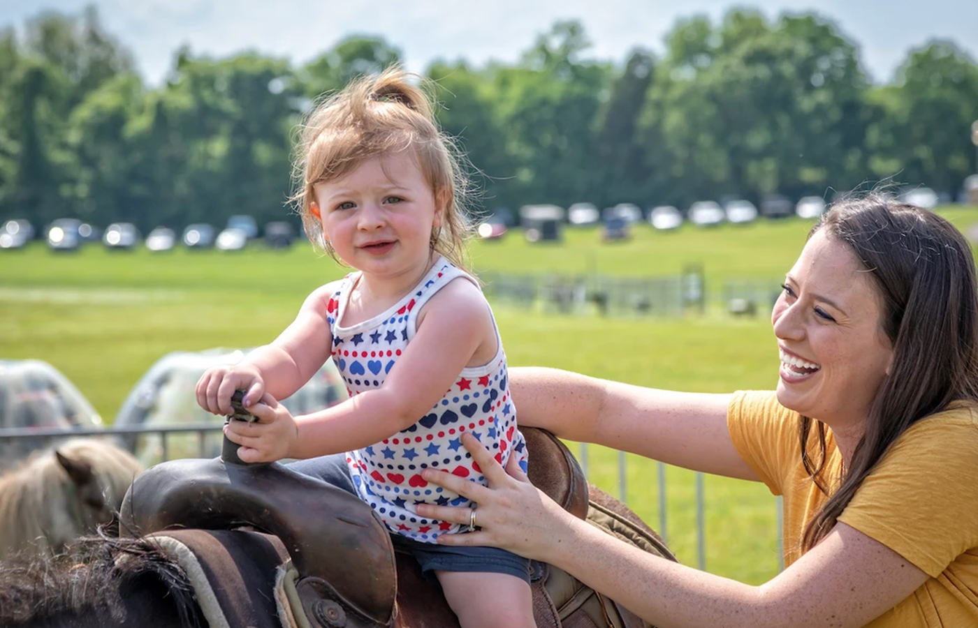 Sumner Fest - Things to do in Nashville