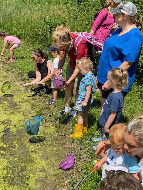 Knee-High Naturalists