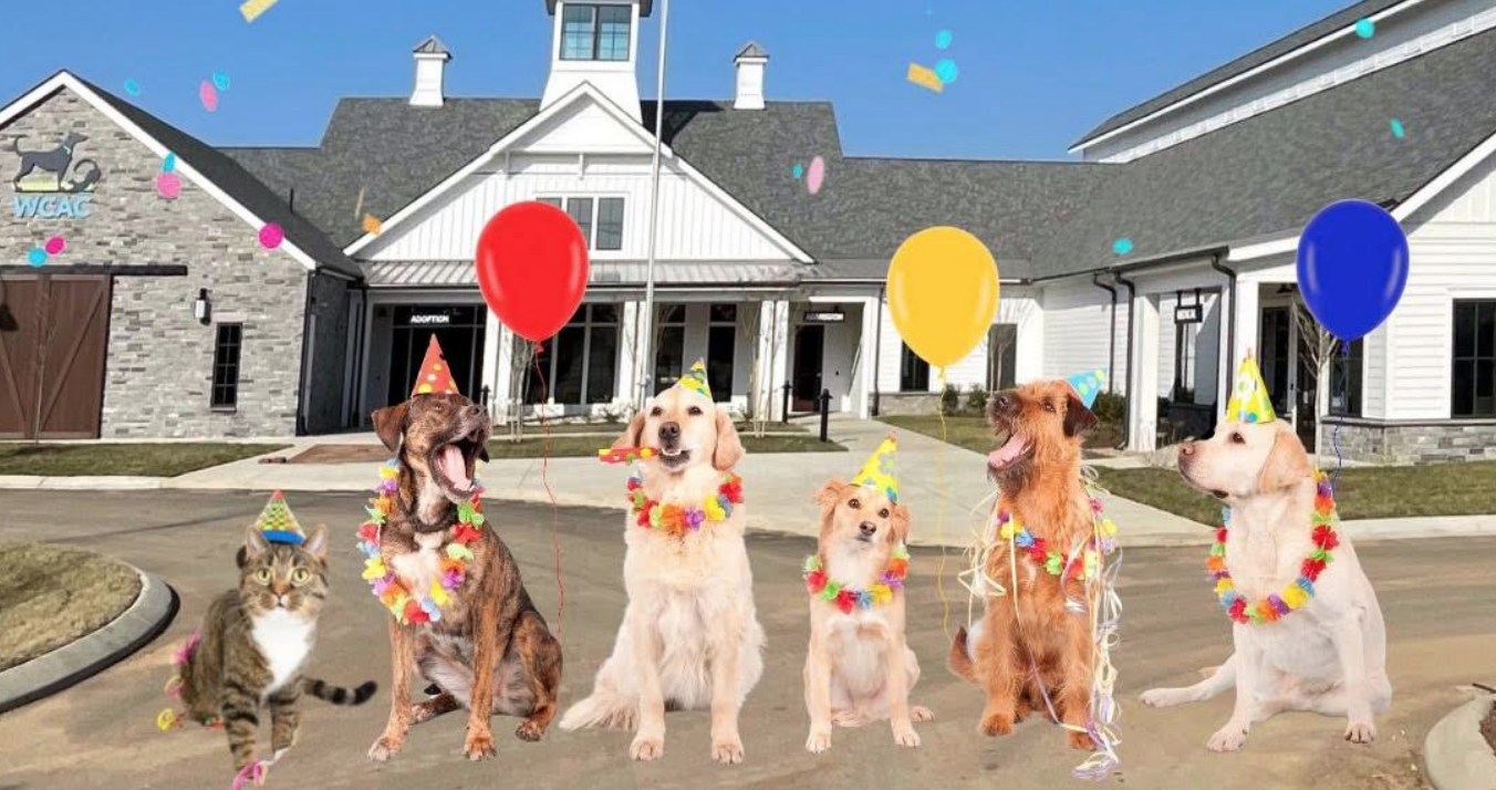 Williamson County Animal Center is a new facility opening February 29 in Franklin.