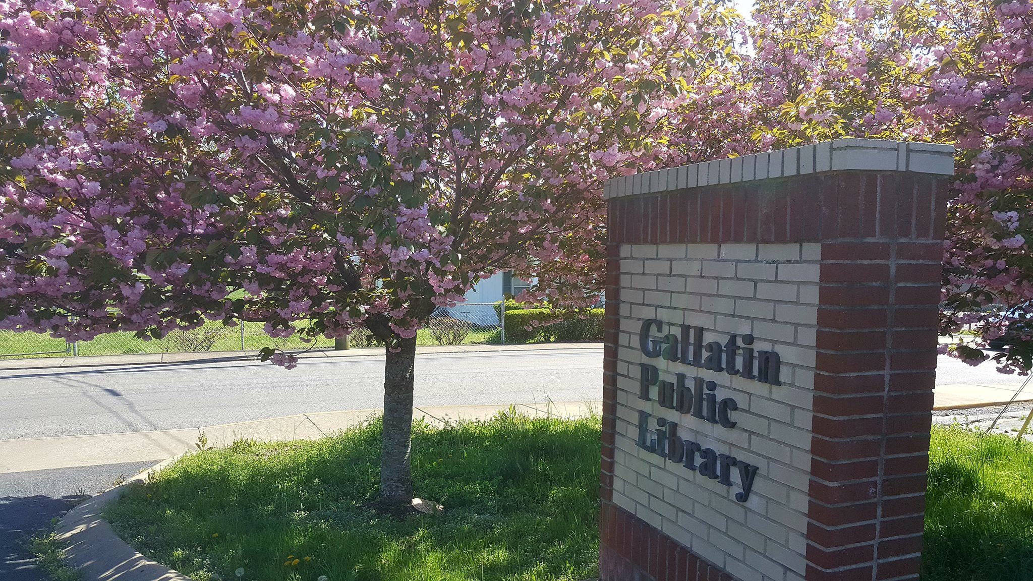 The Gallatin Library hosts fun events for families each month.