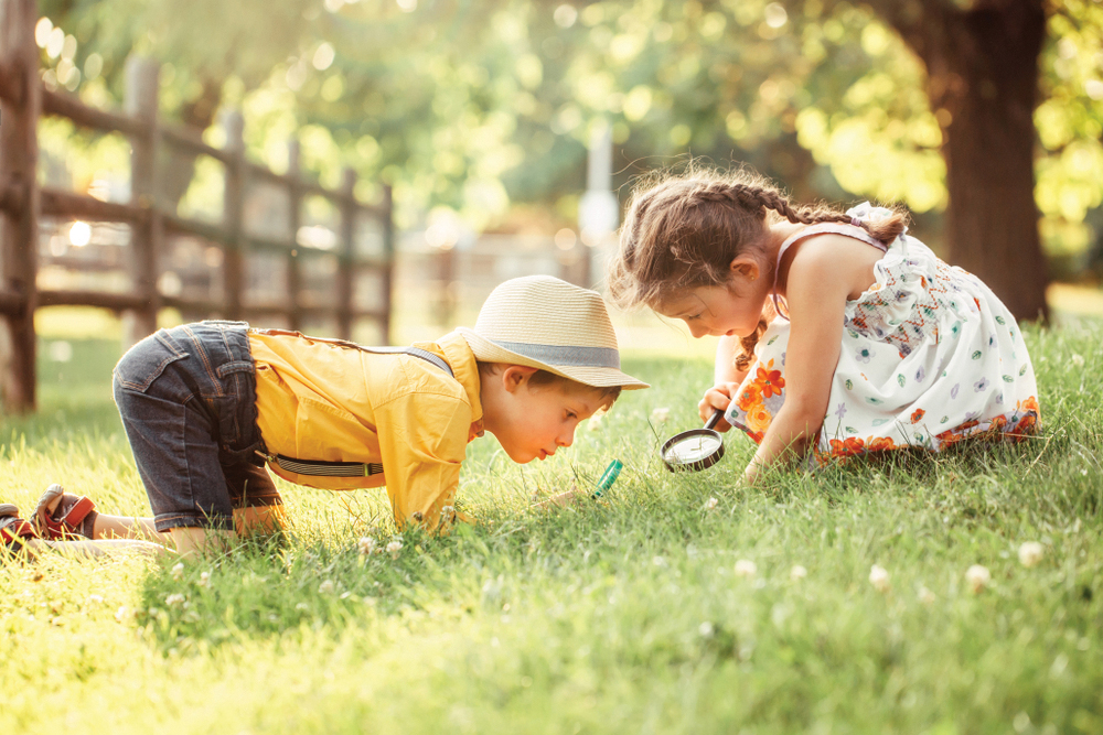 homeschool goes mainstream