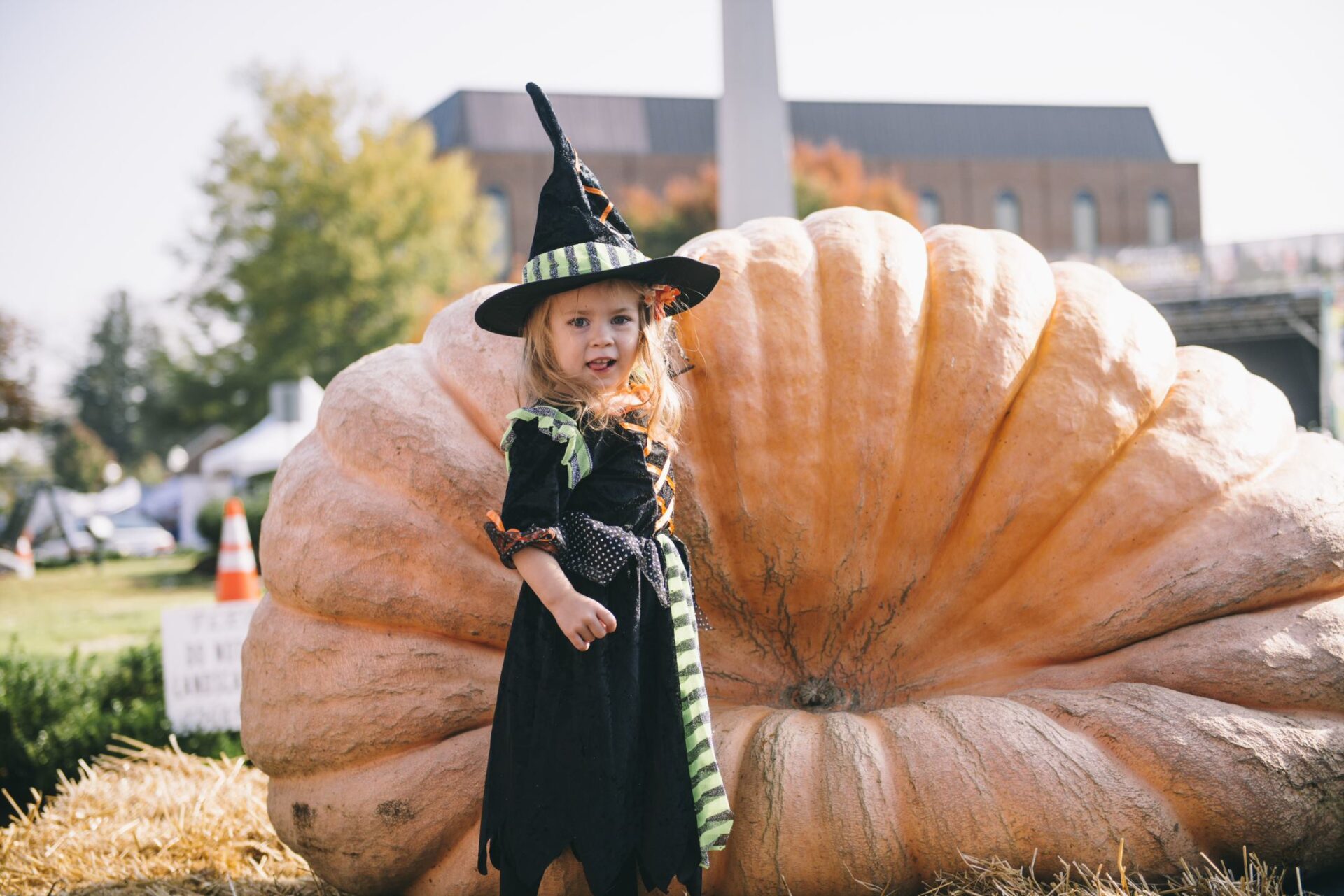 PumpkinFest is this weekend