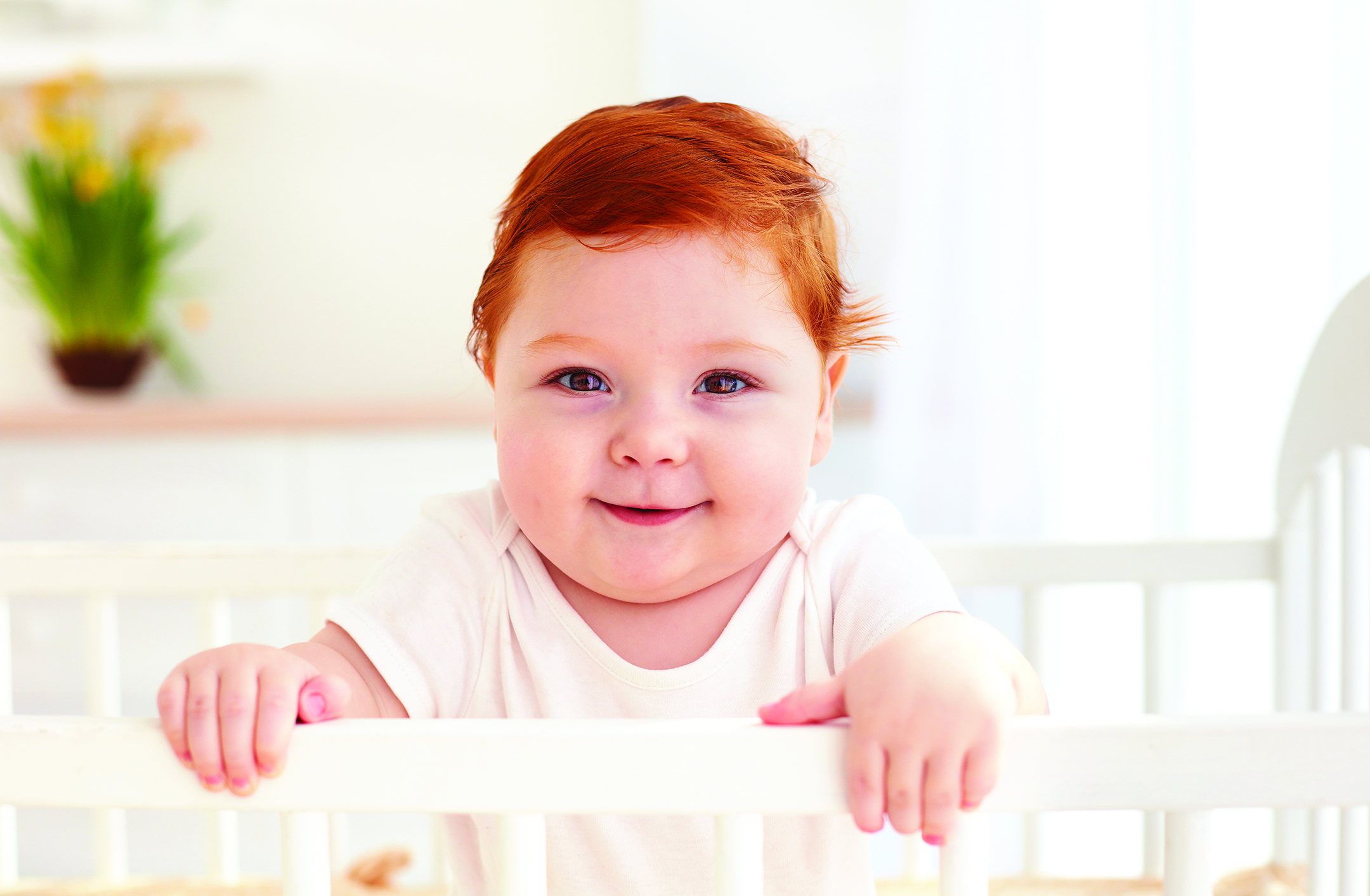 Toddler Instruction Manual