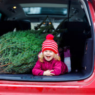Cut-Your-Own Christmas Tree