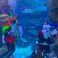Breakfast with Underwater Santa