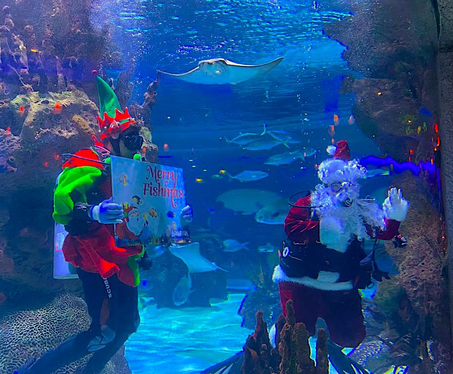 Breakfast with Underwater Santa