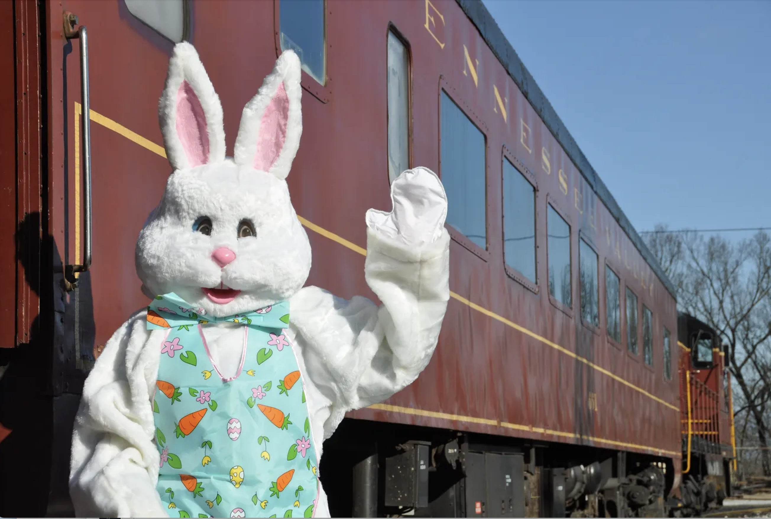 Easter Bunny Train Ride