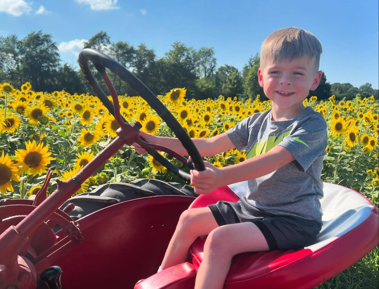 Big Sky Farm Sunflower Days