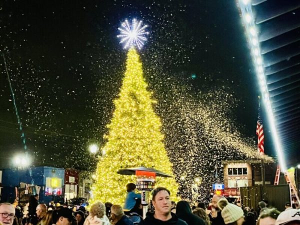 Stunning Smyrna Tree Lighting 2023 Pictures