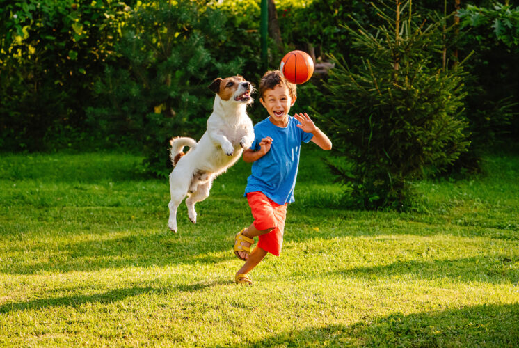Birthday parties, pets, Top 10 Lists