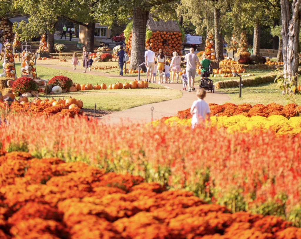 Cheekwood Harvest to Return with New Display